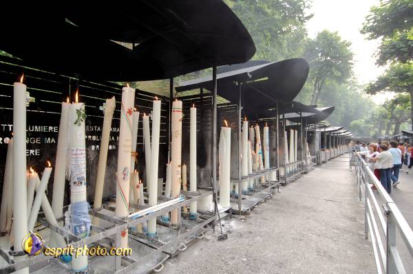 Nom de l'image : D2233448_1 — Description :