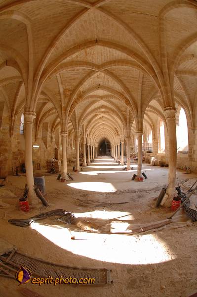 Nom de l'image : D2208762_1 — Description :