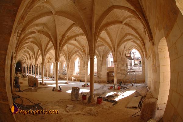 Nom de l'image : D2208765_1 — Description :