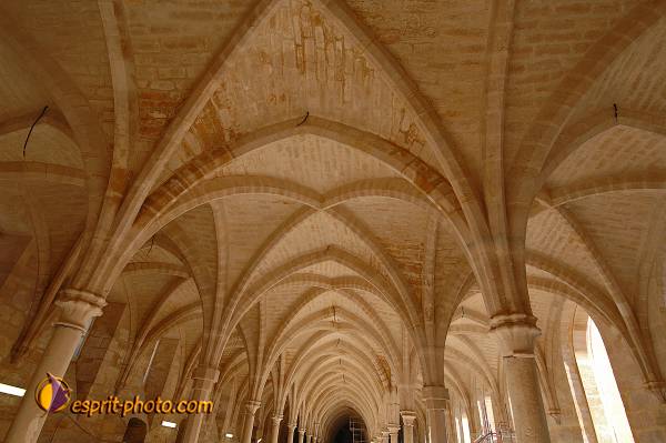 Nom de l'image : D2208794_1 — Description :