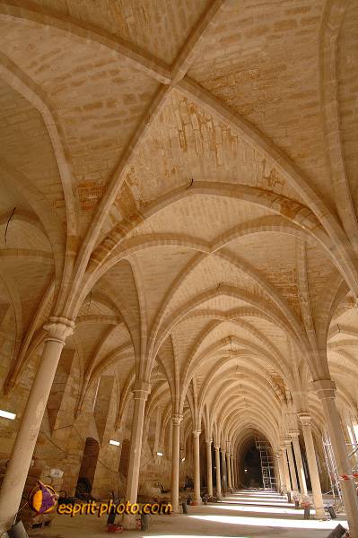 Nom de l'image : D2208797_1 — Description :