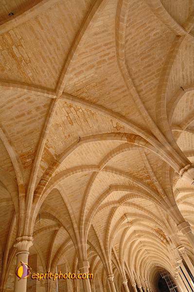 Nom de l'image : D2208799_1 — Description :