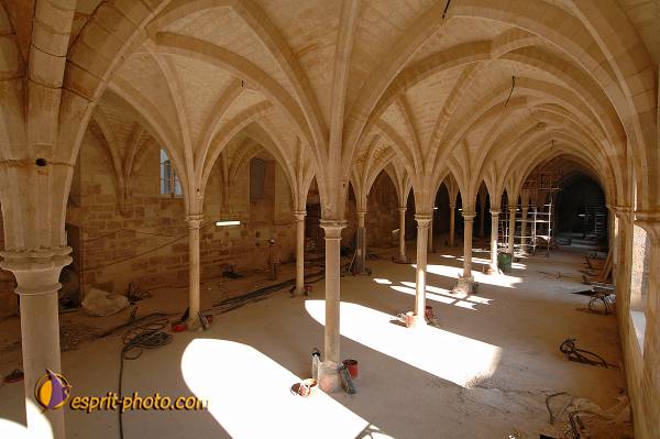 Nom de l'image : D2208824_1 — Description :