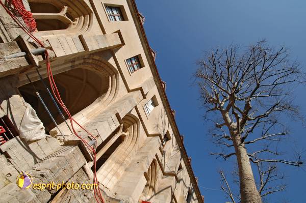 Nom de l'image : D2209082_1 — Description :