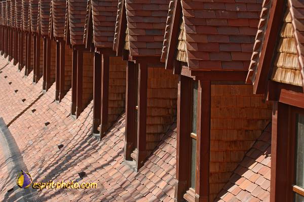 Nom de l'image : D2209128_1 — Description :