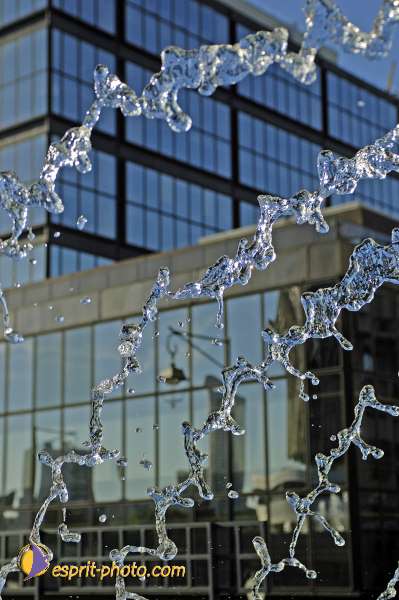 Nom de l'image : D2020202-1 — Description :