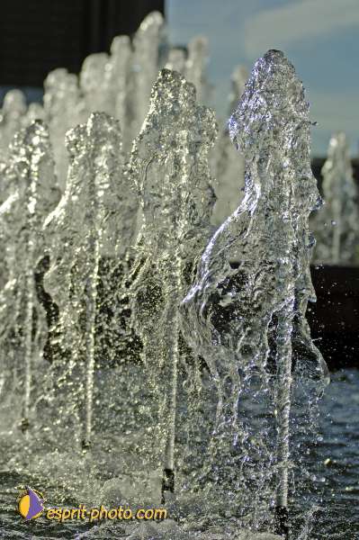 Nom de l'image : D2020222-1 — Description :