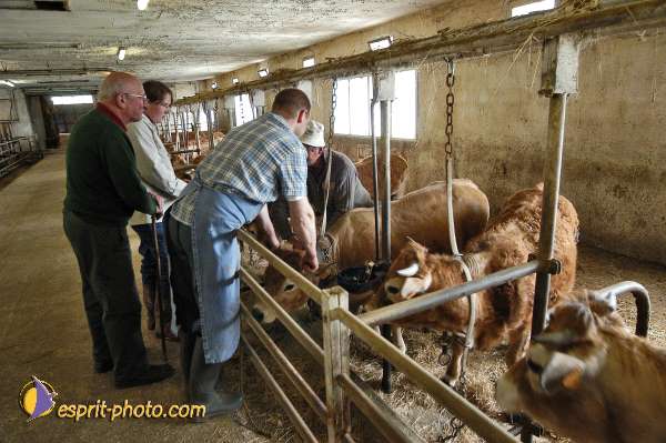 Nom de l'image : E00041753-1 — Description :