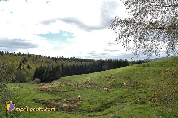 Nom de l'image : E00041775-1 — Description :