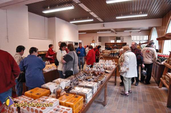 Nom de l'image : E00042025-1 — Description :