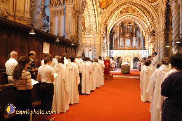 Nom de l'image : D1054161-1 — Description :