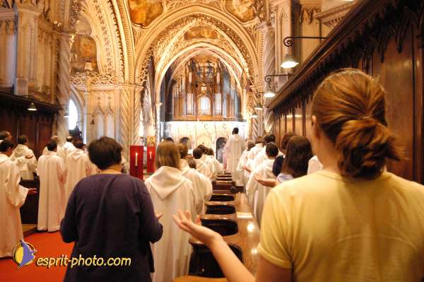 Nom de l'image : D1054174-1 — Description :