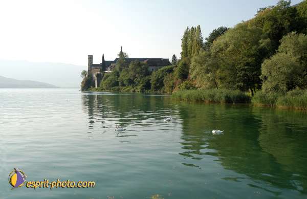 Nom de l'image : D1056080-1 — Description :  Chemin Neuf - Abbaye d'Hautecombe - Festival de jeunes Chemin Ne