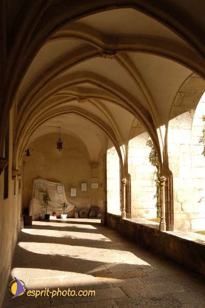 Nom de l'image : D1056118-nef-1 — Description :  Chemin Neuf - Abbaye d'Hautecombe - Festival de jeunes