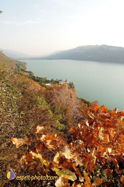 Nom de l'image : D1057070-nef-1 — Description :  Chemin Neuf - Abbaye d'Hautecombe - Festival de jeunes Chemin Ne
