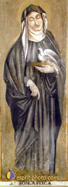 Nom de l'image : EG-300-9717-01 — Description :