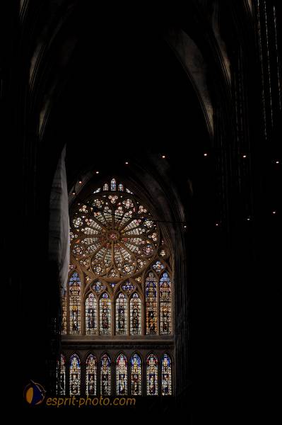 Nom de l'image : D2230281_1 — Description :