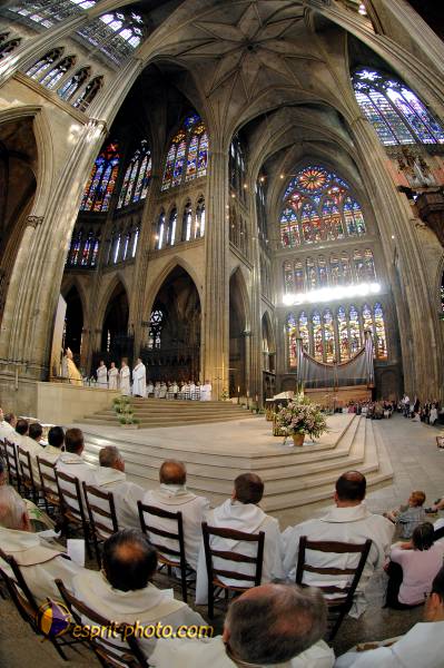 Nom de l'image : D2230503_1 — Description :