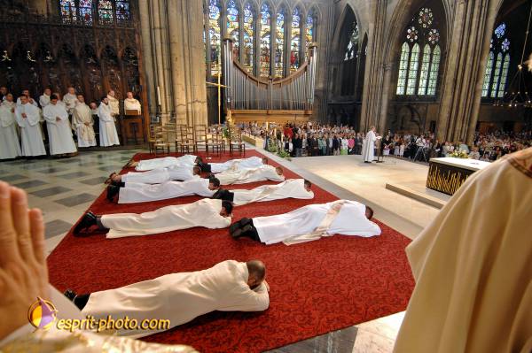 Nom de l'image : D2230703_1 — Description :