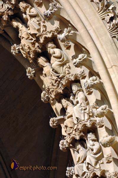 Nom de l'image : D2231292_1 — Description :