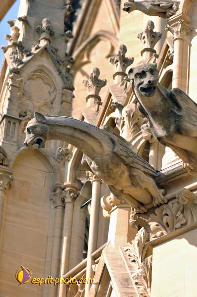 Nom de l'image : D2231293_1 — Description :