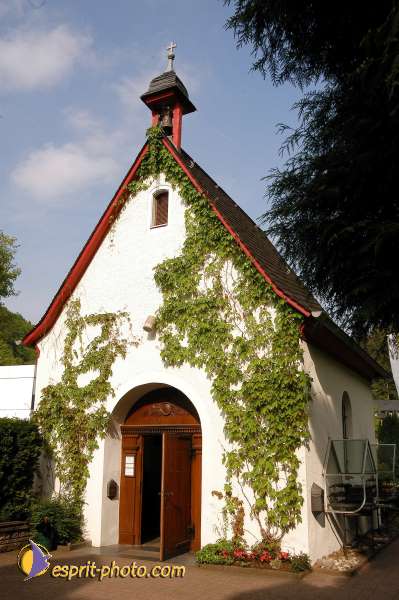 Nom de l'image : D1133425-01 — Description :