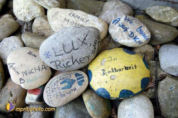 Nom de l'image : D1133509-01 — Description :