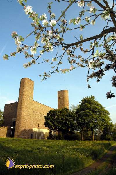 Nom de l'image : D1133546-01 — Description :