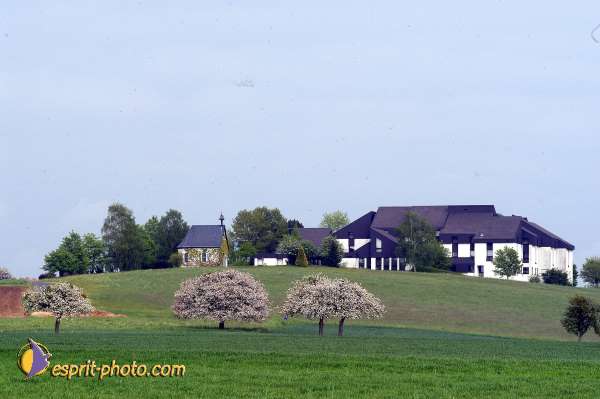 Nom de l'image : D1133765-01 — Description :