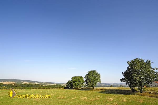 Nom de l'image : D2027130-1 — Description :