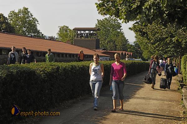 Nom de l'image : D2027133-1 — Description :