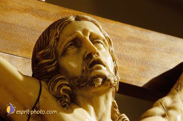 Nom de l'image : D1088619-nef — Description :