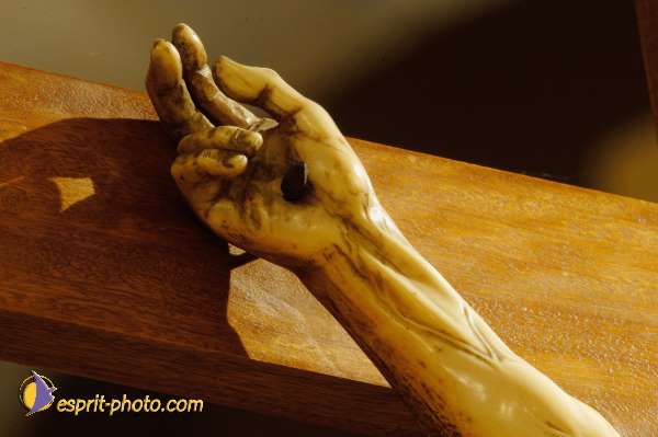 Nom de l'image : D1088622-nef — Description :