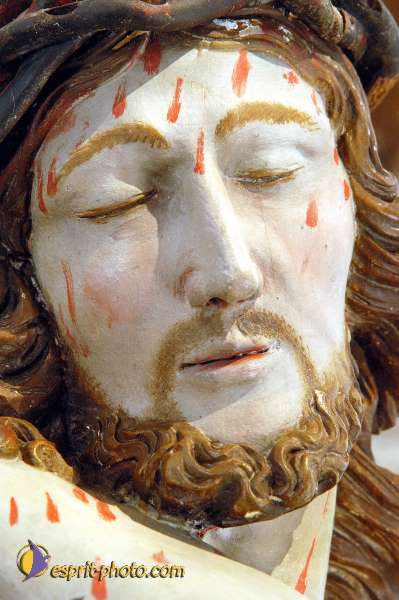 Nom de l'image : D1116885-nef-01 — Description :