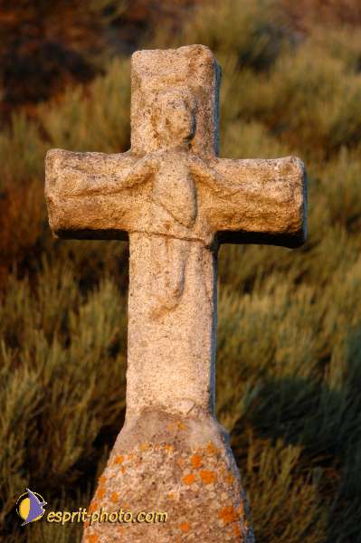 Nom de l'image : D1154010-01 — Description :