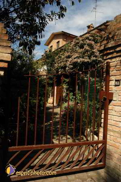 Nom de l'image : D1181259-1 — Description :  Ecole de danse Classique( Ballet) de Liliana COSI et Marinel STE