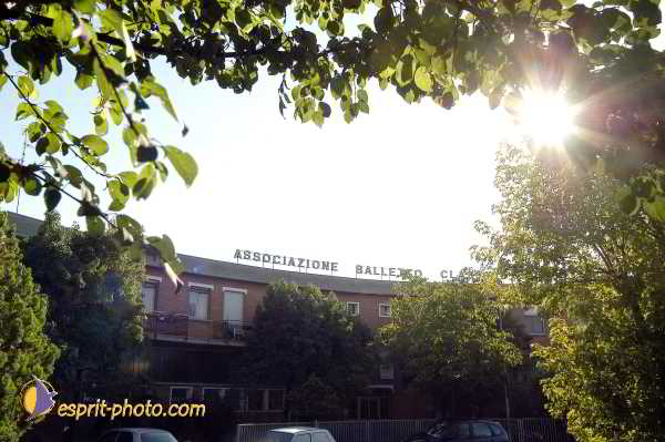 Nom de l'image : D1181841-1 — Description :  Ecole de danse Classique( Ballet) de Liliana COSI et Marinel STE