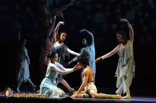 Ballet Cosi Stefanescu Stuttgart Europa