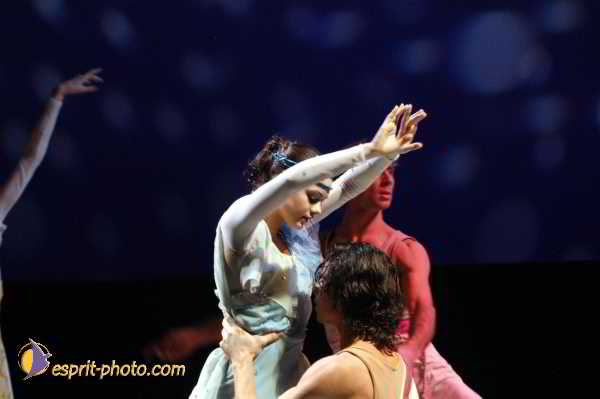 Nom de l'image : D1131638-01 — Description :