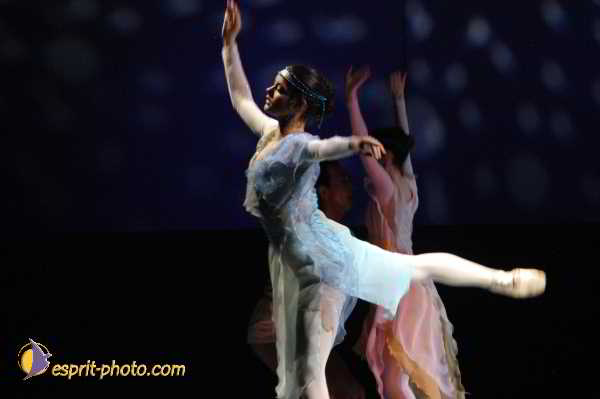 Nom de l'image : D1131640-01 — Description :