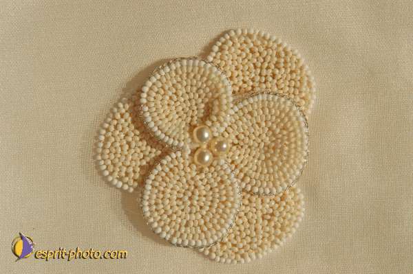 Nom de l'image : E00028354 — Description :