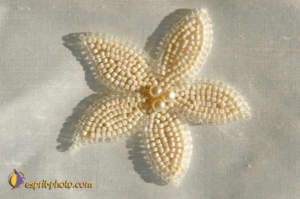 Nom de l'image : E00028374 — Description :