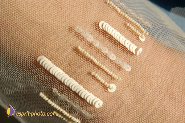 Nom de l'image : E00028378 — Description :