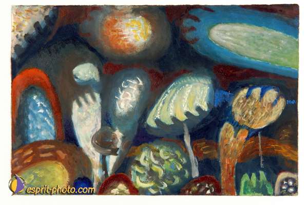 Nom de l'image : D1102575-nef-01 — Description :