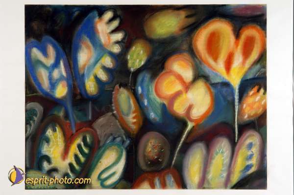 Nom de l'image : D1102578-nef-01 — Description :