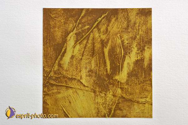 Nom de l'image : D2030745-1 — Description :