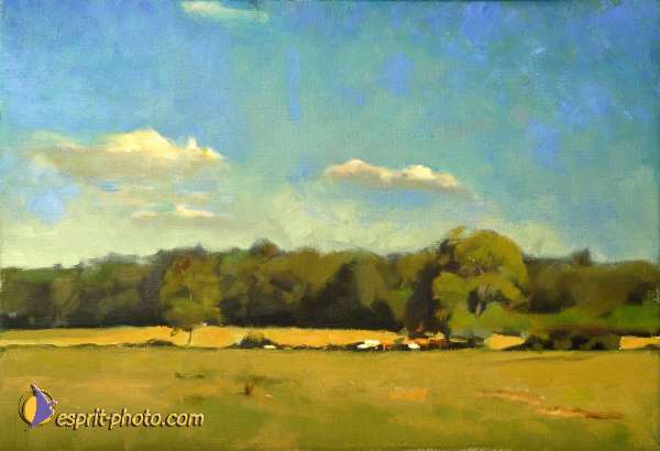 Nom de l'image : D1207685-1 — Description :  Peintures Christophe Thierry