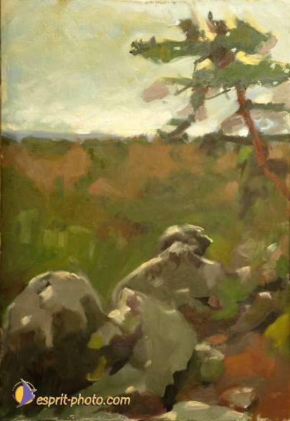 Nom de l'image : D1207688-1 — Description :  Peintures Christophe Thierry