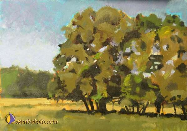 Nom de l'image : D1207705-1 — Description :  Peintures Christophe Thierry