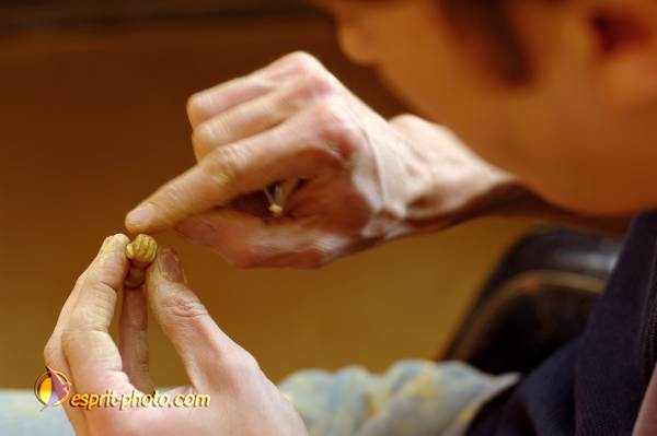 Nom de l'image : D2252224_1 — Description :